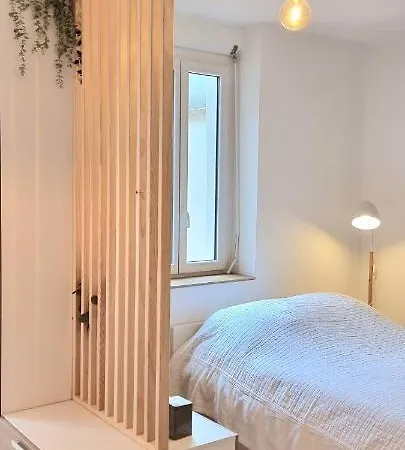 Sur Un Nuage - Terrasse - Gare - Hypercentre Apartment